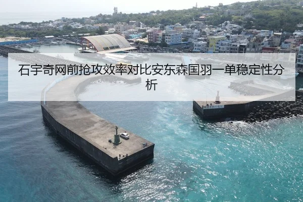 石宇奇网前抢攻效率对比安东森国羽一单稳定性分析