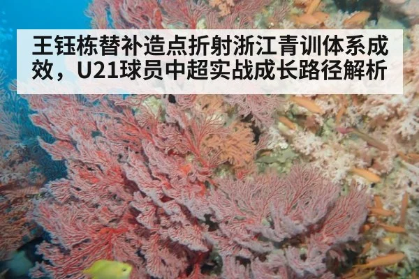 王钰栋替补造点折射浙江青训体系成效，U21球员中超实战成长路径解析