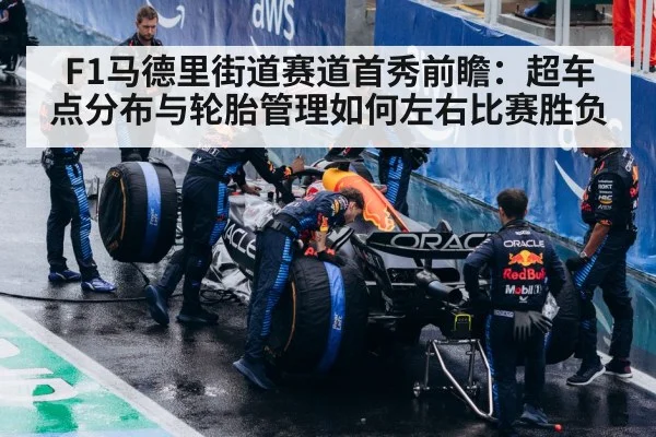 formula 1 tires pit crew