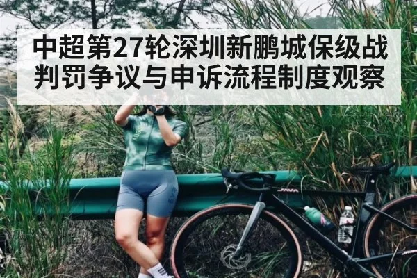 中超第27轮深圳新鹏城保级战判罚争议与申诉流程制度观察